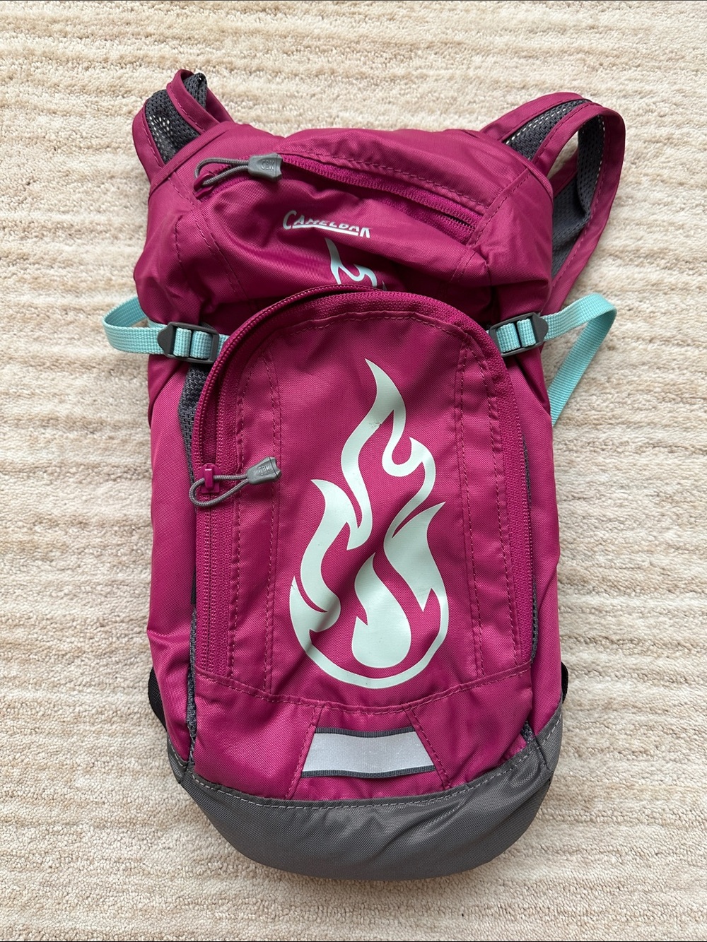 CamelBak Mini M.U.L.E. Kids Hydration Backpack, 50 oz, Purple No Bladder Include